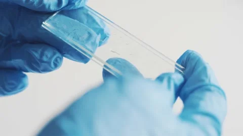 Laboratory glass for microscope Stock Footage 230250460