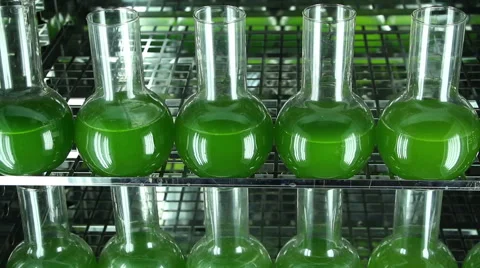 Laboratory glassware filled with green algae  vertical panning Stock Footage 61057104