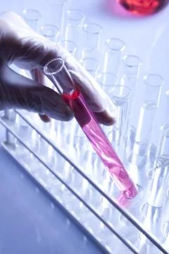 Laboratory Glassware, flasks and test tubes Stock Photos