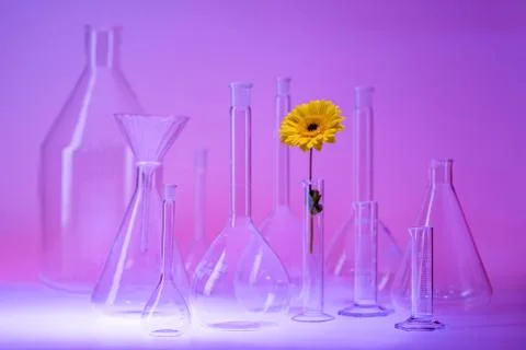 Laboratory glassware Stock Photos