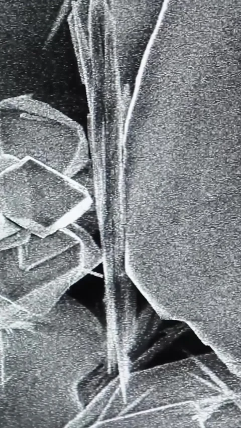 Laboratory Image of a Sample Magnified with Scanning Electron Microscope (SEM)   Stock Footage 285345098