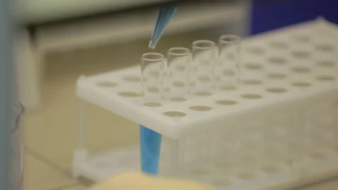 In laboratory laboratory assistant pours blue color samples into glass flasks Stock Footage 128644419
