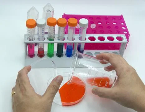 Laboratory labware for science experiments, white background 스톡 사진