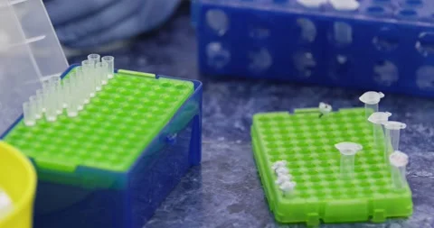 Laboratory manipulations with clean disposable Vidéo 341567579