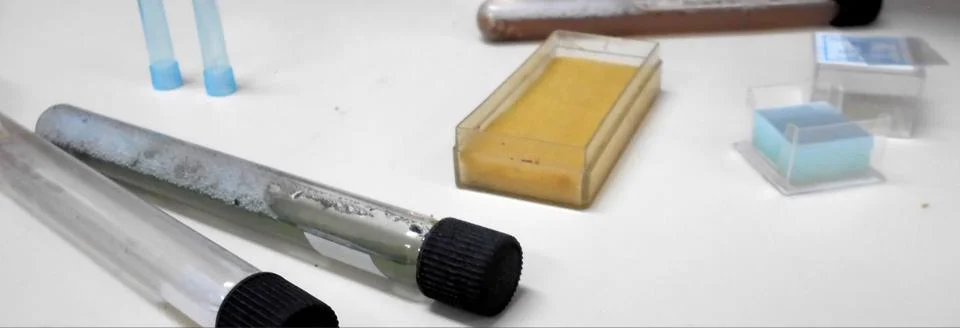 Laboratory materials for tests Stock Photos