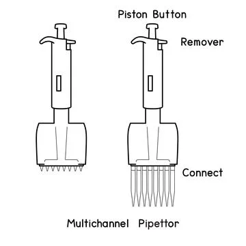 Laboratory Micropipette Set Adjustable Transfer Pipettes Controller Fixed Volume Stock Illustration