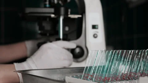 Laboratory microscope analysis with glass slides and lab technician. Stockbeeldmateriaal 347784114