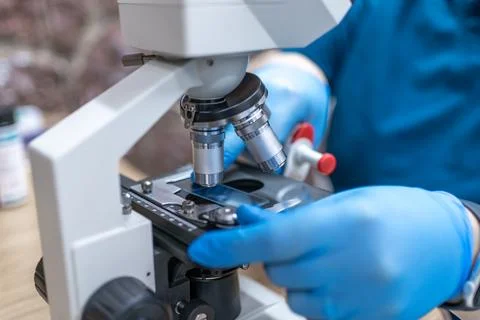Laboratory microscope diagnostics gloved technician examining sample slide 写真素材