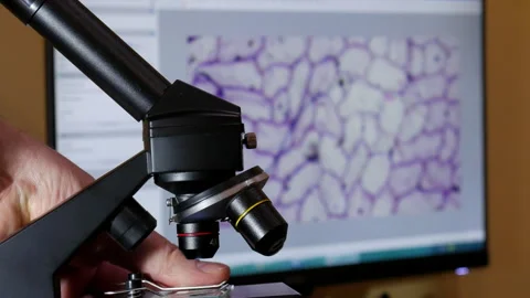 Laboratory Microscope with Digital Cell Image on background Computer Screen Stock Footage 327733484