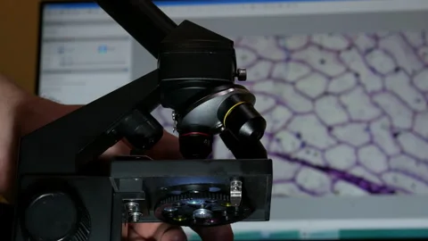 Laboratory Microscope with Digital Cell Image on background Computer Screen Stock Footage 329129564