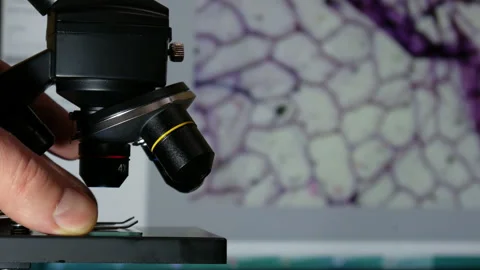 Laboratory Microscope with Digital Cell Image on background Computer Screen Stock Footage 334447423