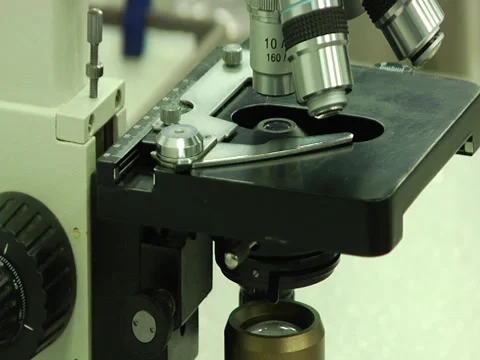 Laboratory Microscope Stock Footage 34328866