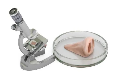 Laboratory microscope with human nose, growing organ in the lab concept. 3D.. Illustrazione stock