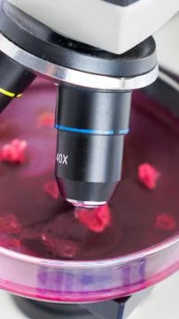 Laboratory microscope lens.modern microscopes in a lab Foto stock