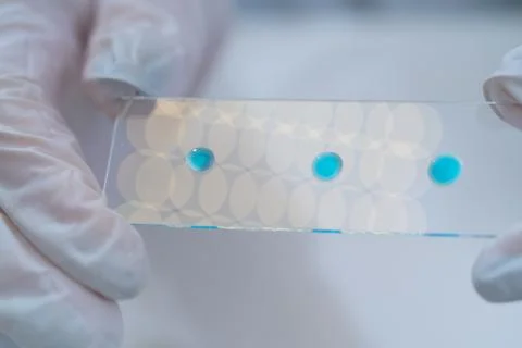 Laboratory microscope with microscope slide in hand Stock Photos