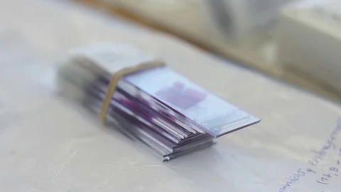 Laboratory microscope samples on a glass slide Stock Footage 82743318