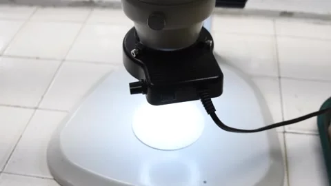 Laboratory Microscope, Scientific Analysis and Microorganism Observation Stock Footage 305781556