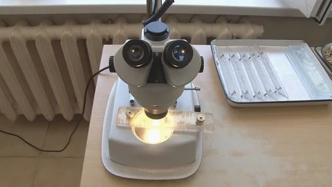 Laboratory microscope with test samples. Stock Footage 127320936