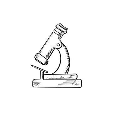 Microscope Diagram Sketch Template