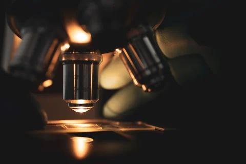 Laboratory optical microscope macro view with gloved hands Stock Photos