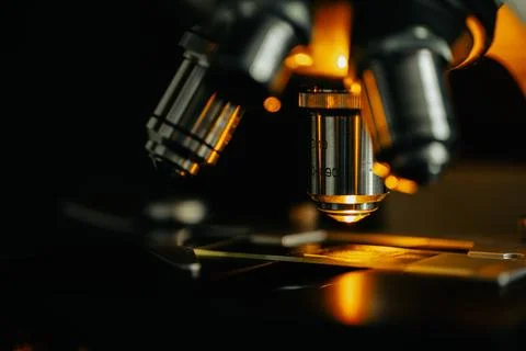 Laboratory optical microscope macro view with gloved hands Stock Photos