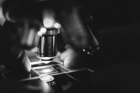 Laboratory optical microscope macro view with gloved hands Stock Photos