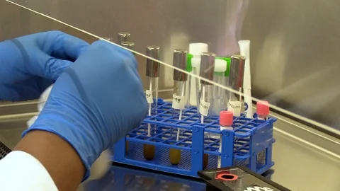 Laboratory personnel preparing samples Stock-Footage 128754139
