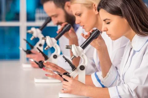 Laboratory Stock Photos