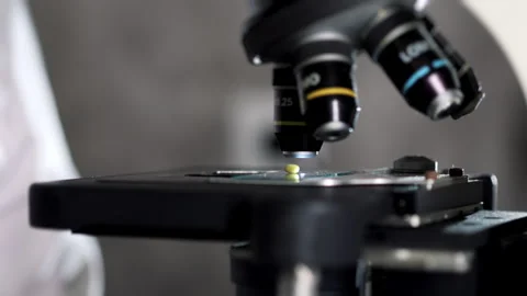 Laboratory quality control of a green bean sample. Stock Footage 302185473