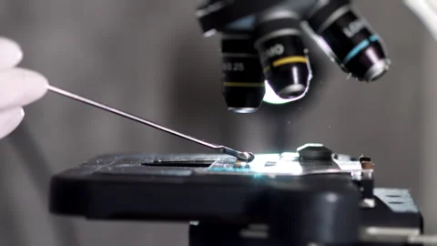 Laboratory quality control of a green bean sample. Stock Footage 302185509