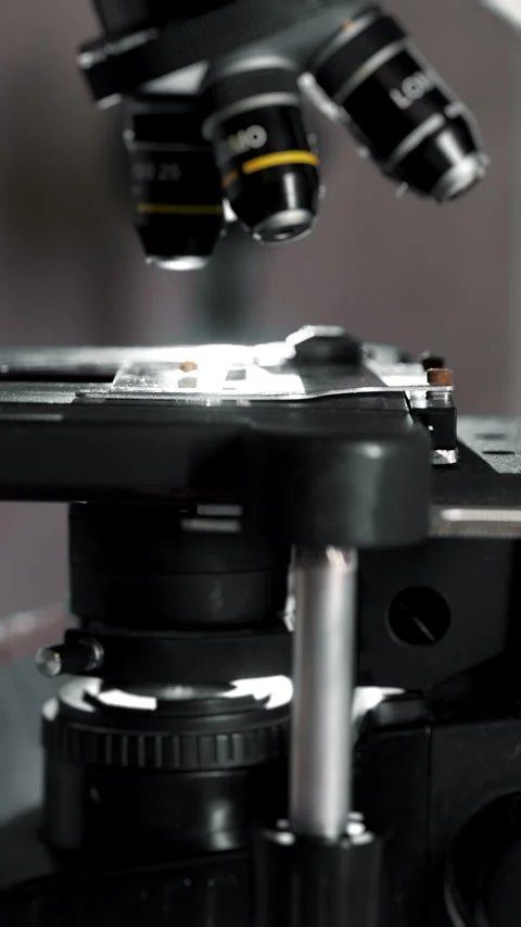 Laboratory quality control of a green bean sample. Stock-Footage 303623570