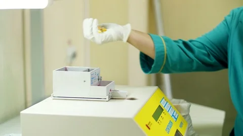 Laboratory research of corn seeds. samples of different species, varieties of Stock-Footage 96761668