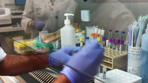 Laboratory researcher in an experiment on viruses Video stock 147195076