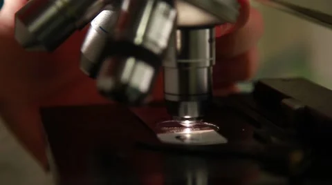Laboratory researcher working with microscope 4 Video stock 41531307