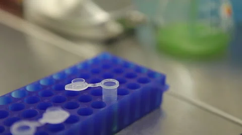 Laboratory sample preparation algae, pipetting Stock Footage 62540004