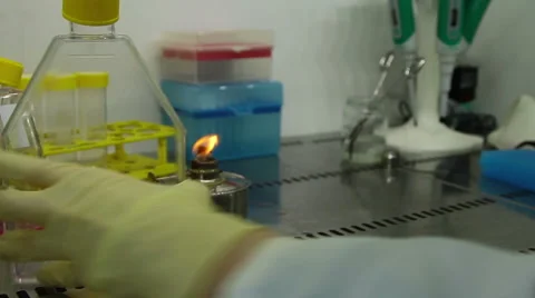 In the laboratory, scientific research Stock Footage 61130519