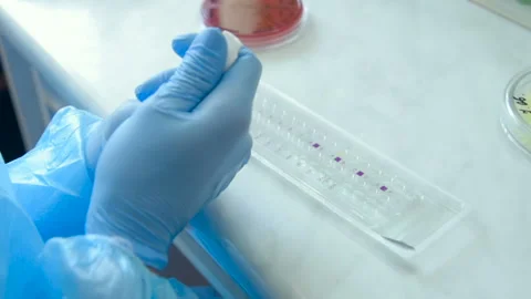 A laboratory scientist with a dispenser in his hands conducts experience or Stock Footage 99951122
