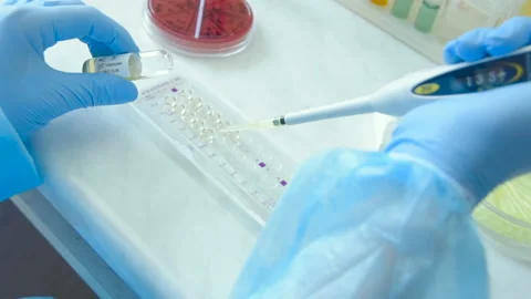A laboratory scientist with a dispenser in his hands conducts experience or Stock Footage 100521130