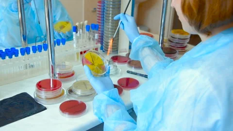 A laboratory scientist with a dispenser in his hands conducts experience or Stock-Footage 101425151