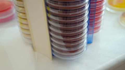 A laboratory scientist with a dispenser in his hands conducts experience or Stock-Footage 101425761