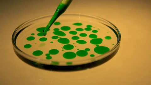 In a laboratory, a scientist with a pipette analyzes a colored liquid Stock Footage 88613053