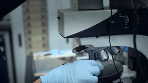Laboratory scientist placing a specimen slide on a microscope Stock Footage 330554397
