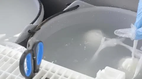 Laboratory scientist using pipette in clean water tank Stock Photos