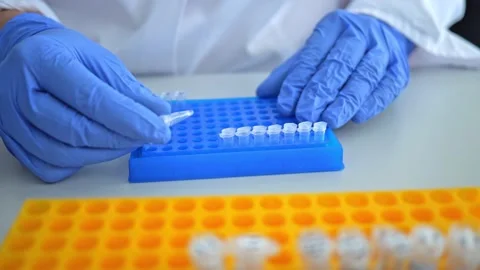 Laboratory scientist working at lab diagnostics test tubes. Laboratory concept Video stock 208106432