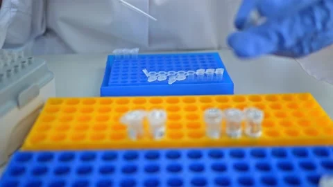 Laboratory scientist working at lab diagnostics test tubes. Laboratory concept Stock Footage 208109817