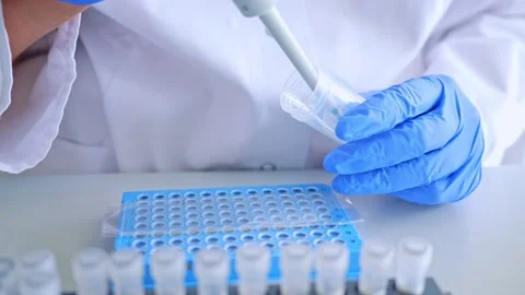 Laboratory scientist working at lab with micro pipette, test tubes and 96 well Stock-Footage 208109732