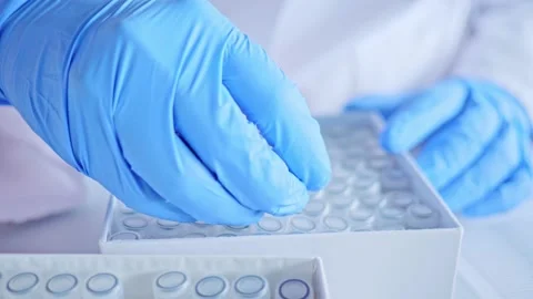 Laboratory scientist working at lab with test tubes. Laboratory concept, woman Stock Footage 208117264