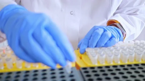 Laboratory scientist working at lab with test tubes. Laboratory concept, woman Stock Footage 208117397