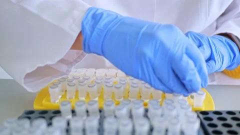 Laboratory scientist working at lab with test tubes. Laboratory concept, woman Stock Footage 220272114
