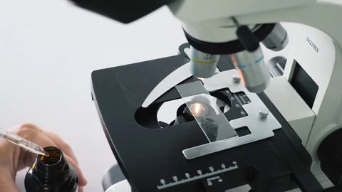 Laboratory scientist working with a microscope Stock Footage 78500446